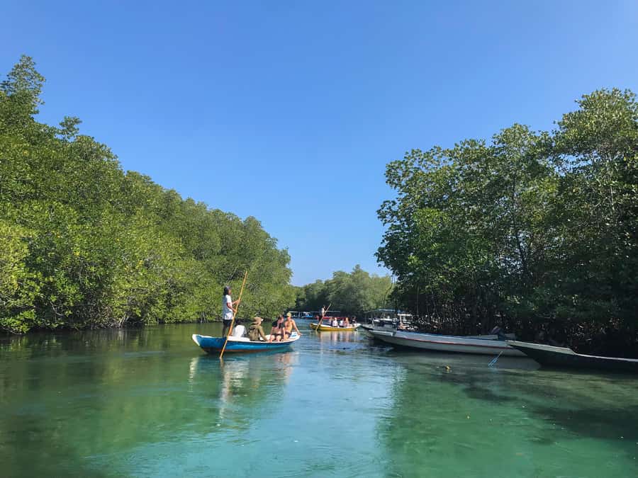 Nusa Lembongan Mangrove & Island Tour - A quiet ride through Mangrove Point