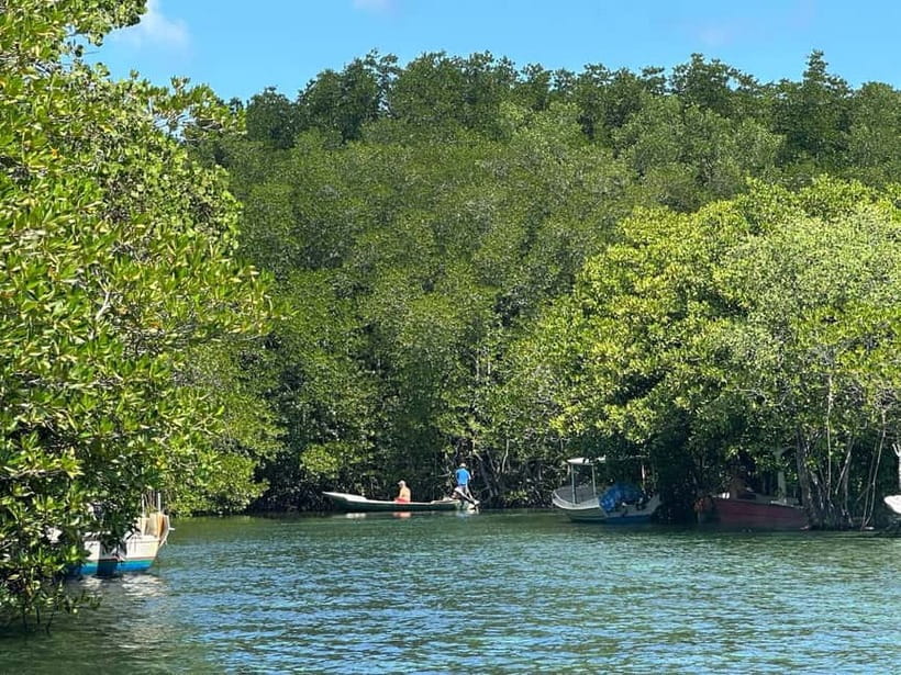 Nusa Lembongan: Mangrove Kayak or Paddleboard Adventure - Key points to know before booking
