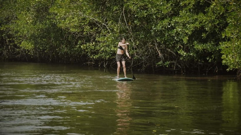 Nusa Lembongan: Mangrove Kayak or Paddleboard Adventure - Choosing between a kayak and a paddleboard