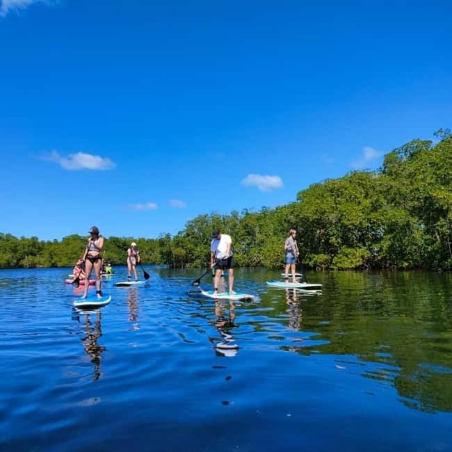 Nusa Lembongan: Mangrove Kayak or Paddleboard Adventure - What the conservation angle adds