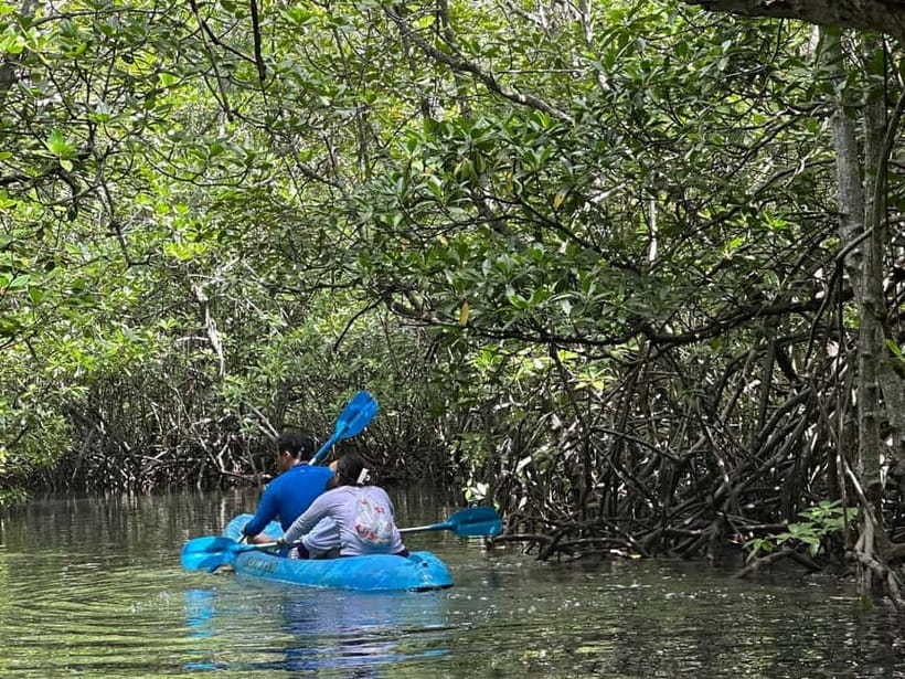 Nusa Lembongan: Mangrove Kayak or Paddleboard Adventure - Who will enjoy this most