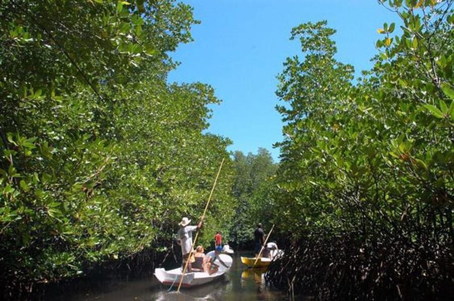 Nusa Lembongan Tour: Island and Mangrove Adventure - How the guide changes the day
