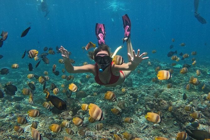 ️Nusa Penida by Private Boat - Snorkeling 4 spots, Swim with Mantas + Land Tour - Why the manta encounter makes this Nusa Penida trip special