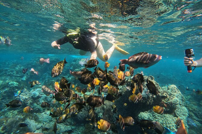 Nusa-Penida customize Tour - All inclusive - Lunch is practical, not a reason to book