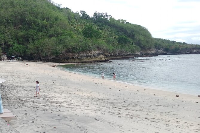 Nusa Penida East And West Full Day Private Guided Tour - Kelingking Beach, the signature photo stop