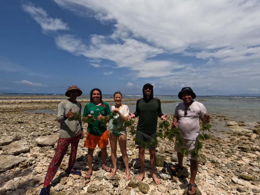 Nusa Penida: Ecotourism, Seaweed Farming & East Tour - Who will enjoy this tour most