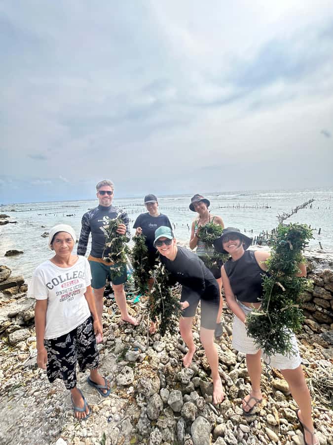 Nusa Penida: Ecotourism, Seaweed Farming & East Tour - Timing, flexibility, and what to clarify