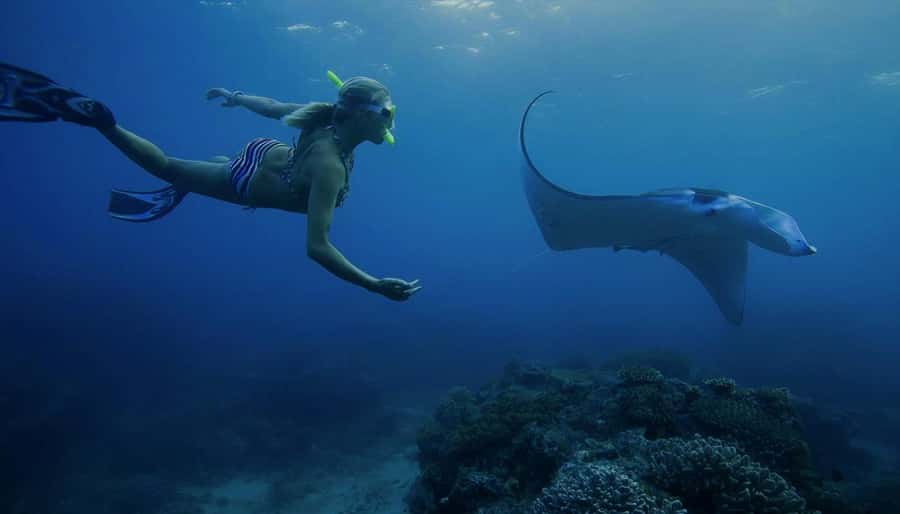Nusa Penida: Full Day Private Snorkeling With Manta Ray - Starting at Maruti Beach Club near Banjar Nyuh Harbour