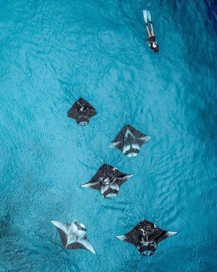 Nusa Penida: Full Day Private Snorkeling With Manta Ray - Crystal Bay: calmer water and more reef life