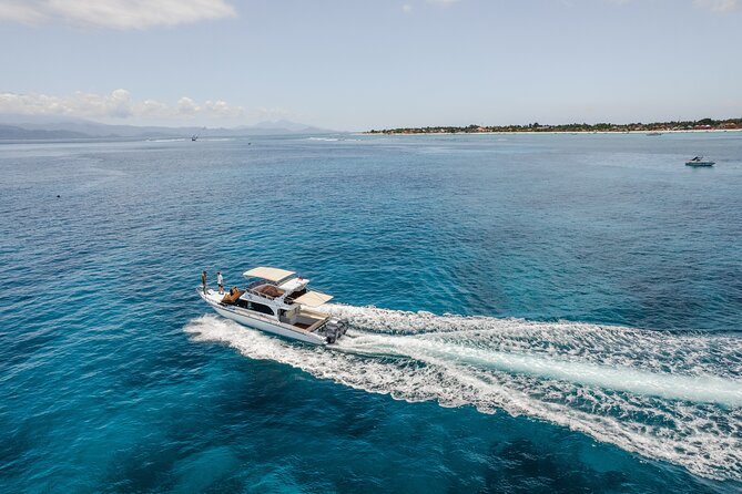Nusa Penida Full Day Tour by Riki J Yacht 13 meters - SD Point brings current and more sea life