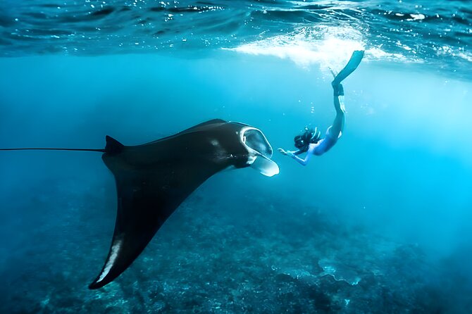 Nusa Penida Island Beach Tour With Snorkeling - Departure From Bali Island - Key points to know before you book