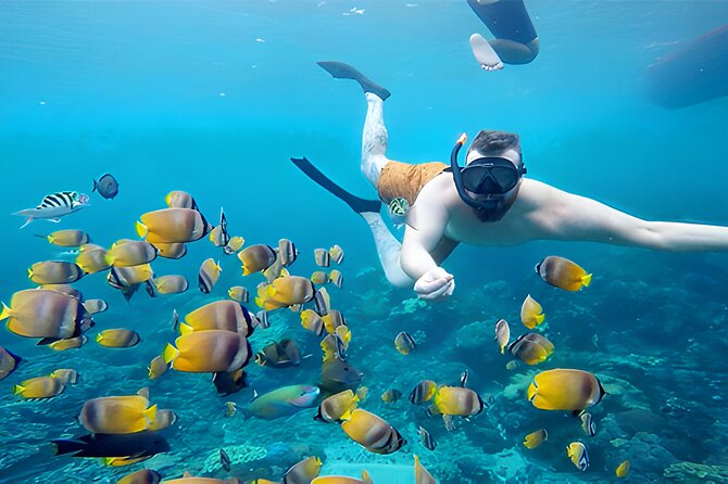 Nusa Penida Island Beach Tour With Snorkeling - Departure From Bali Island - Crystal Bay and a possible turtle sighting