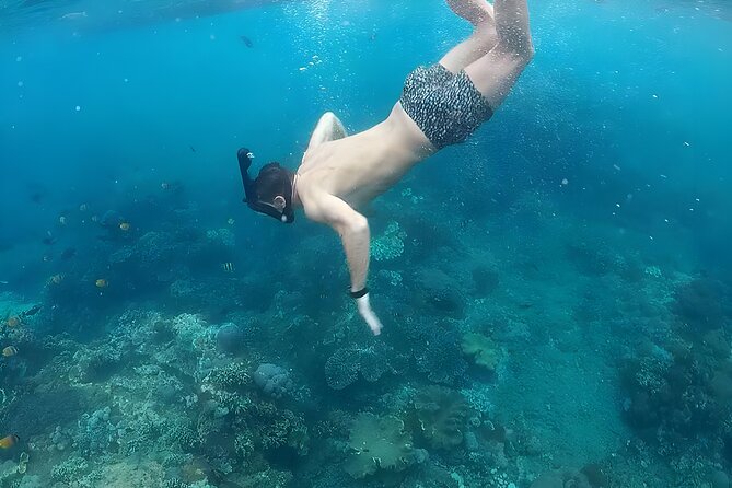 Nusa Penida Island Beach Tour With Snorkeling - Departure From Bali Island - Kelingking Beach and the famous dinosaur-shaped view