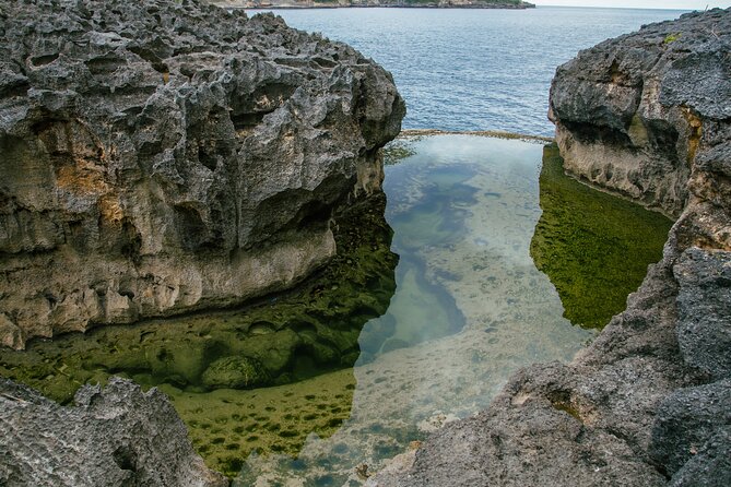 Nusa Penida One Day Trip to Instagrammable Spot by Penidago - Kelingking Beach and the famous cliff view