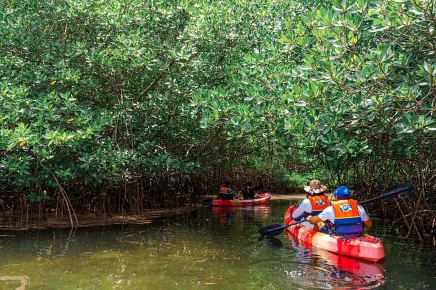 Nusa Penida: Snorkeling 3 Spots with GoPro & Kayak Mangroves - How the schedule may change