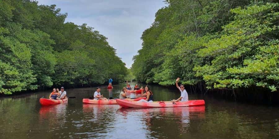 Nusa Penida: Snorkeling 3 Spots with GoPro & Kayak Mangroves - The mangrove kayak brings the morning back down to earth