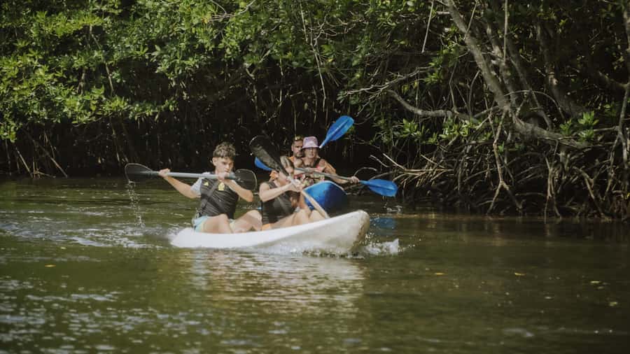 Nusa Penida: Snorkeling 3 Spots with GoPro & Kayak Mangroves - Boat conditions, swimming ability, and comfort