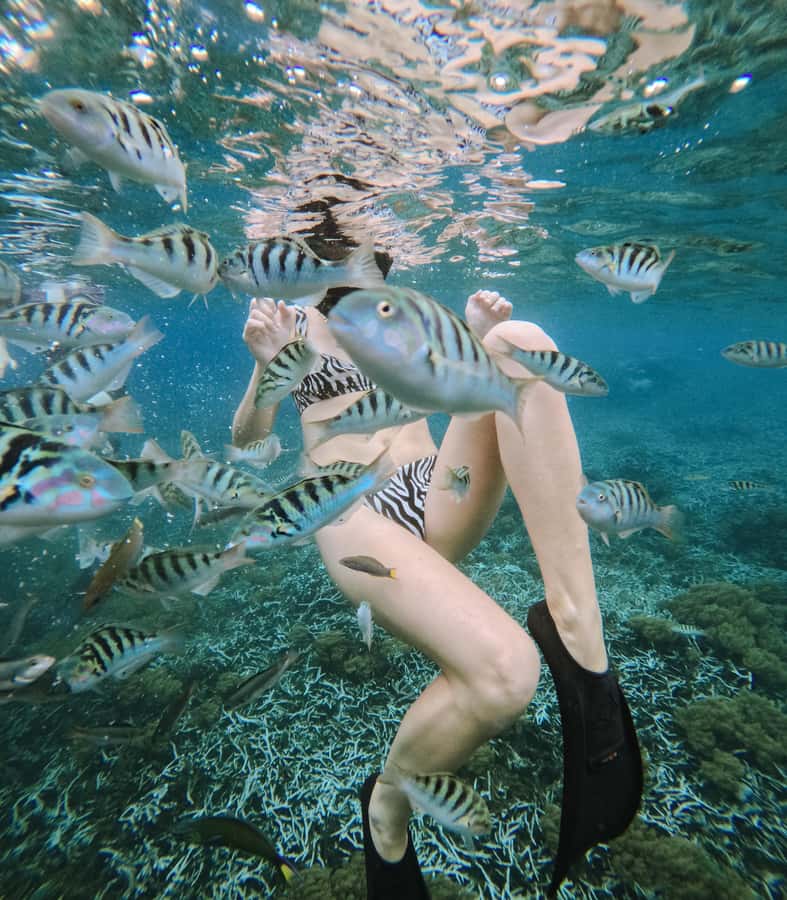 Nusa Penida: Snorkeling 3 Spots with GoPro & West Land Tour - Key points to know before booking