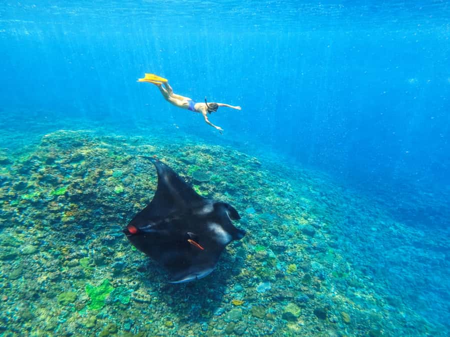 Nusa Penida: Snorkeling 3 Spots with GoPro & West Land Tour - What this Nusa Penida day actually includes