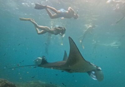 Snorkeling 3 Spots with GoPro & West Land Tour