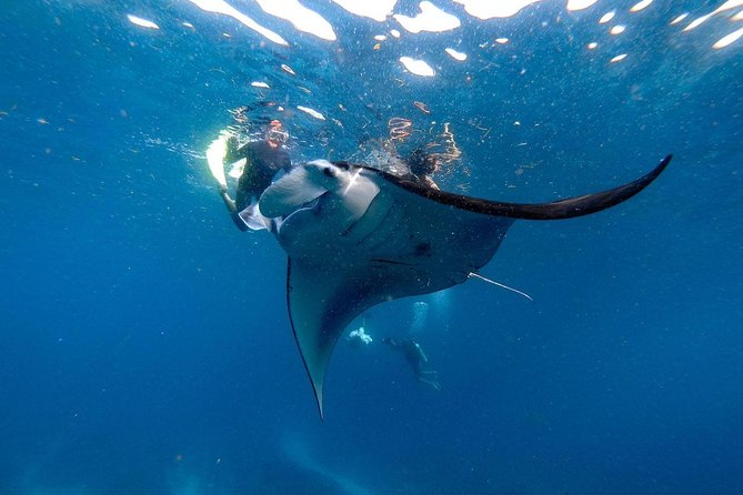 Nusa Penida Snorkeling Adventure (Private & All-Inclusive) - Communication and the human side of the day