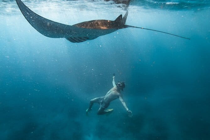 Nusa Penida Snorkeling in Manta Point Gamat Bay and Wall - The practical limits of a short water trip