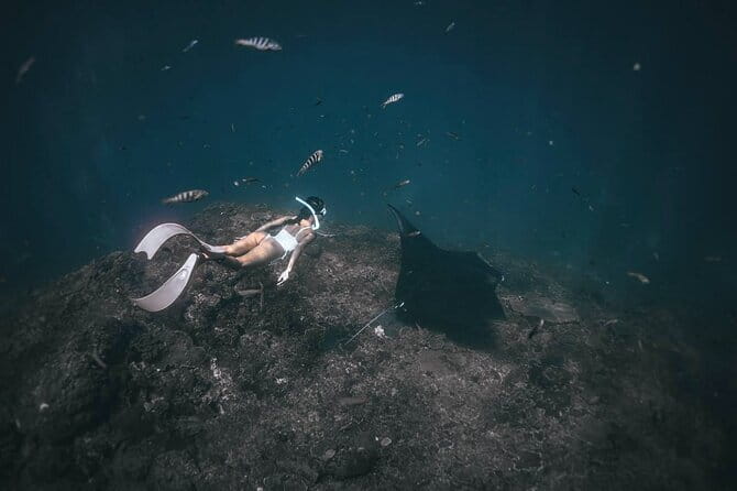Nusa Penida Snorkeling in Manta Point Gamat Bay and Wall - Who will enjoy this Nusa Penida outing