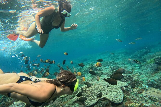 Nusa Penida : Snorkeling Trip Manta Point, Gamat Bay and Wall Bay - Manta Point and the chance to see rays