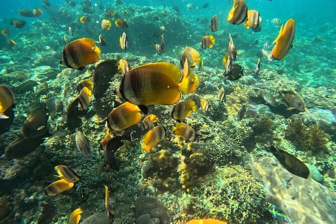 Nusa Penida : Snorkeling Trip Manta Point, Gamat Bay and Wall Bay - A practical morning on the water
