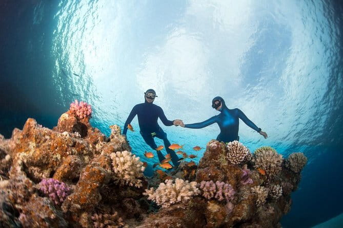 Nusa Penida : Snorkeling Trip Manta Point, Gamat Bay and Wall Bay - What the 4.9 rating tells you