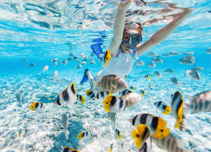 Nusa Penida: Spend time snorkeling with rays and turtles - Manta Point and Manta Bay: two different possibilities