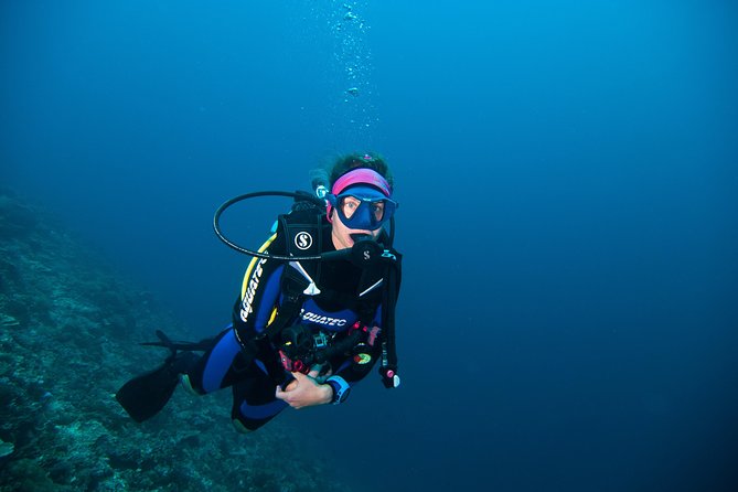 Nusa Penida Three Dives Trip for Certified Divers - Is the $160 price good value?