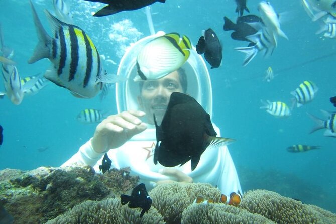 Nusa Penida Trip with Snorkeling all-Inclusive - Kelingking Beach and the island’s famous cliffs