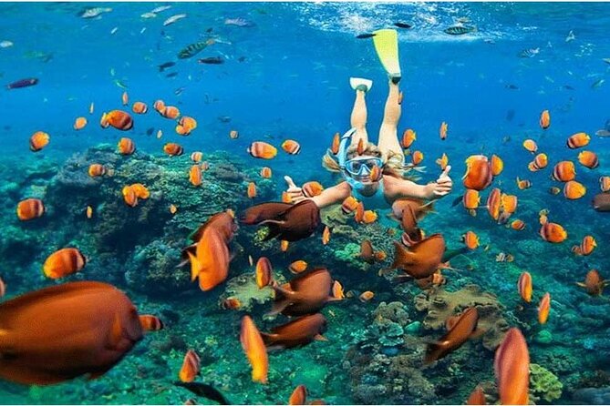 Nusa Penida Trip with Snorkeling all-Inclusive - Leaving Seminyak at 7:00 am
