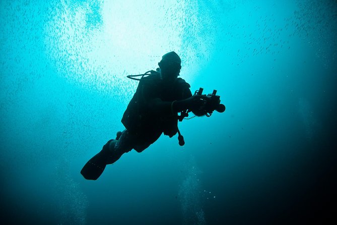 Nusa Penida Two Dives Trip for Certified Divers - Key points at a glance