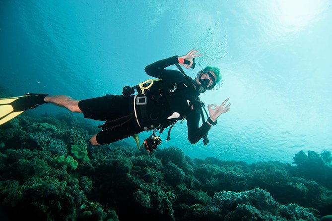 Nusa Penida Two Dives Trip for Certified Divers - A second session around East Penida