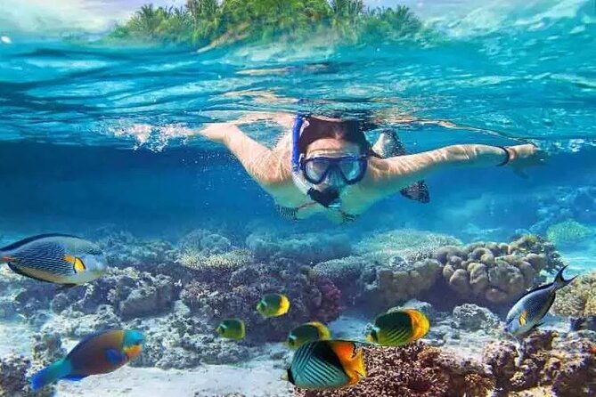 Nusa Penida West trip with snorkeling at 3 spot with Free Meals - Three Snorkeling Stops Before the Island Views