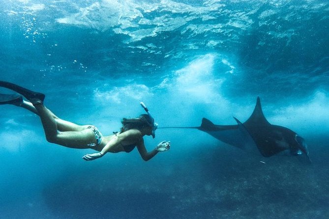 Nusa Penida West trip with snorkeling at 3 spot with Free Meals - Weather Rules and Cancellation Protection