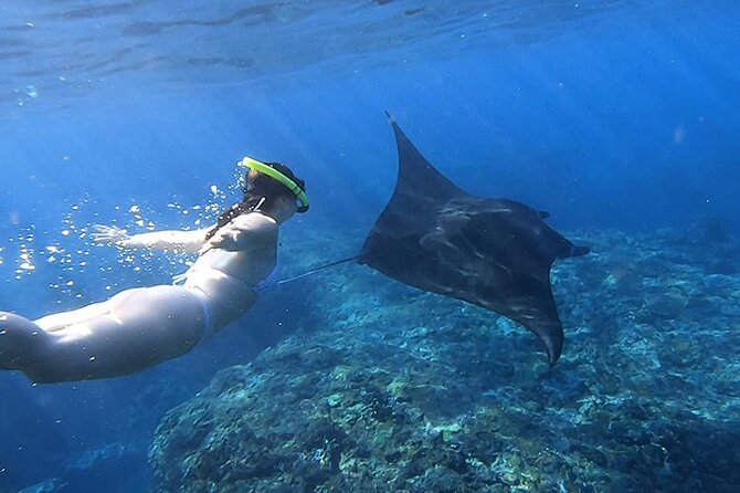 One Day Nusa Penida Island West with Snorkeling - Key points to know before booking
