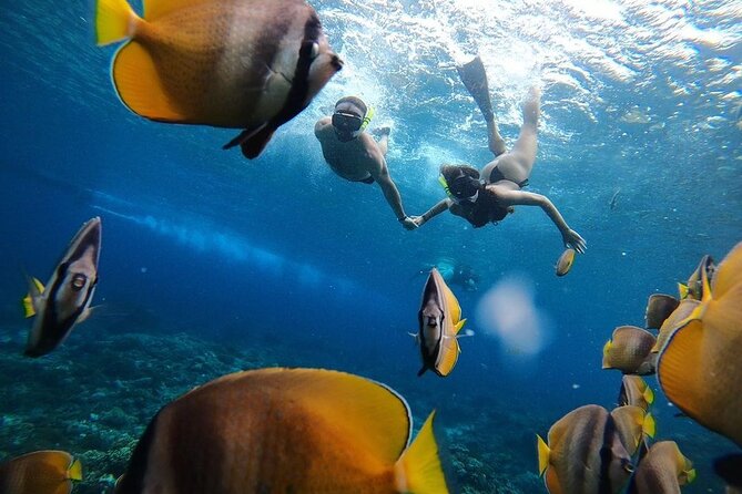 One Day Nusa Penida Island West with Snorkeling - Manta Bay, Crystal Bay, and Gamat Bay