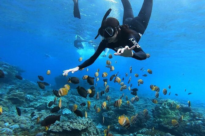 One Day Nusa Penida Island West with Snorkeling - Getting from Sanur to Banjar Nyuh