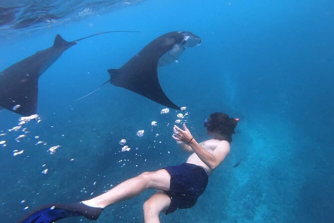 One Day Snorkeling Trip & West Tour Nusa Penida by Penidago - Returning through Nusa Penida and Sanur