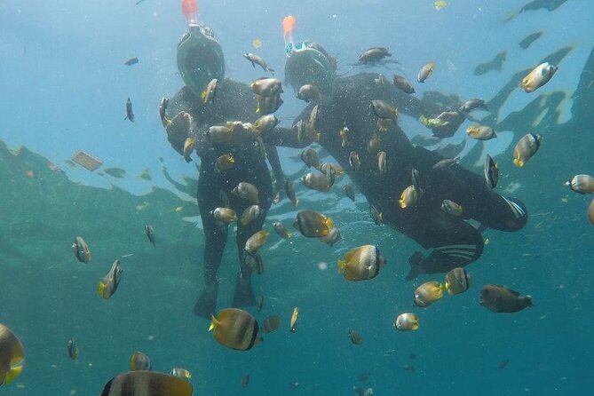 One Day Snorkeling Trip & West Tour Nusa Penida by Penidago - What the $25 price really covers