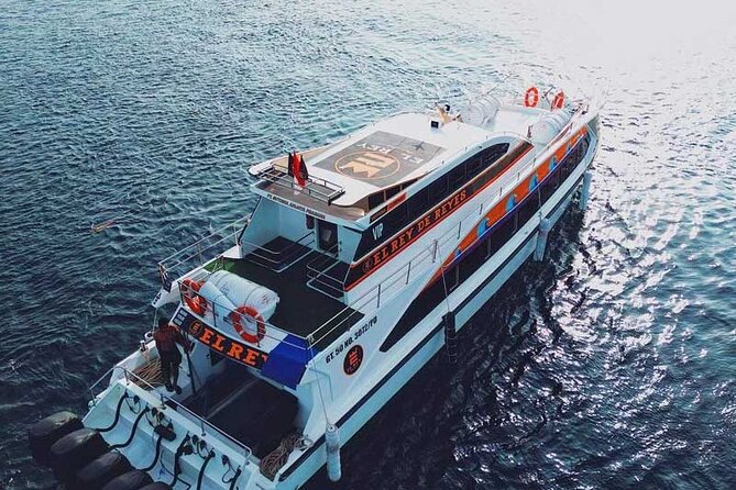 One-way Ticket Fast Boat from Sanur Bali or Nusa Penida - A 45-minute crossing between Bali and Nusa Penida