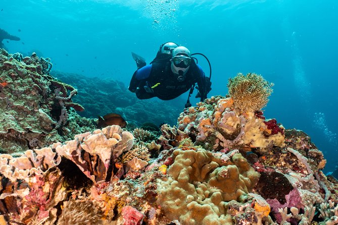 Open Water Course in Pemuteran - Get Certified in Bali - Practical details that make the days easier