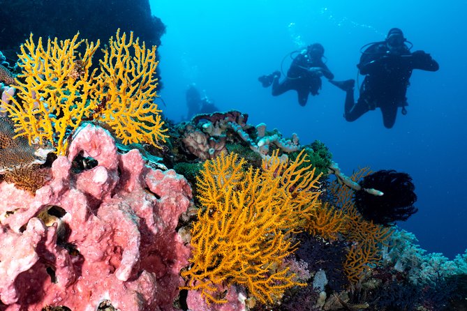 Open Water Course in Pemuteran - Get Certified in Bali - Day three: Menjangan Island and the reward of the course