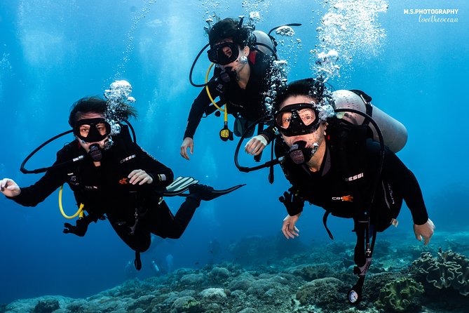 Open Water Course in Tulamben - Get Certified in Bali - What the private format changes