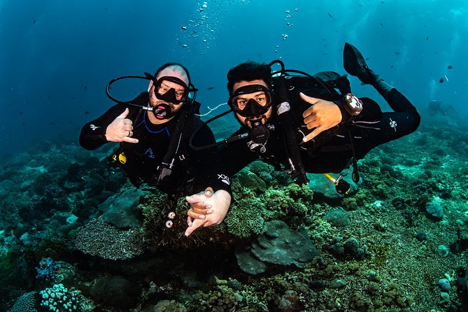 Open Water Course in Tulamben - Get Certified in Bali - Is $376.92 good value?
