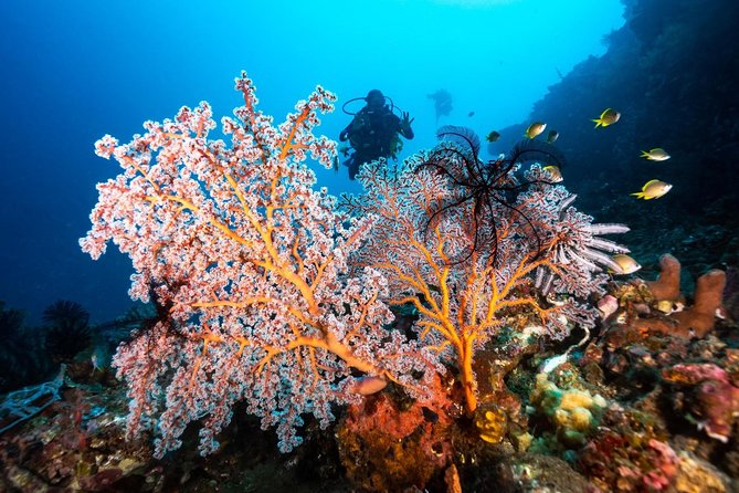 Open Water Course in Tulamben - Get Certified in Bali - Practical planning for the two-day program