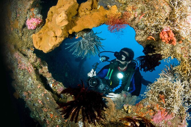 PADI Open water Course in Tulamben - Get certified & dive anywhere in the world - Day one: theory, equipment, and controlled-water practice